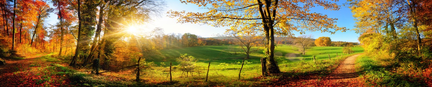Environmental policy at PFERD TOOLS