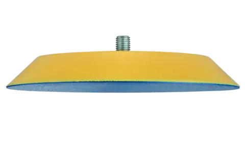 PSA Disc Holder, 6" Diameter, 5/16-24 Threaded Spindle 1