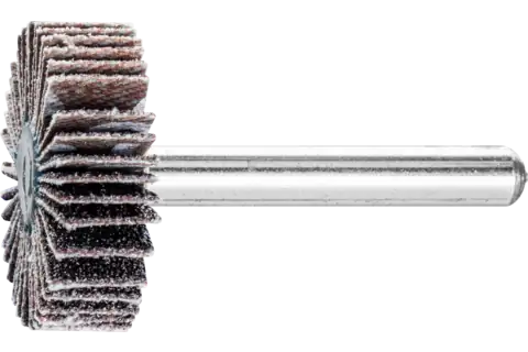 Mounted Flap Wheel, 1" x 1/2, 60 Grit, 1/4" Shank, Silicon carbide 1