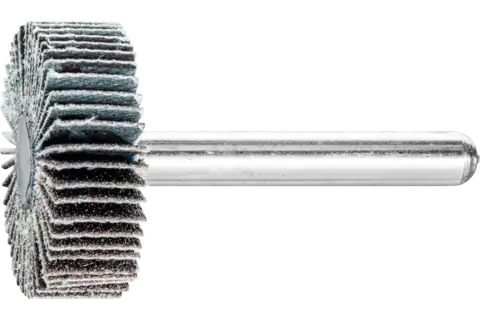 Mounted Flap Wheel, 1" x 1/2, 120 Grit, 1/4" Shank, Silicon carbide 1