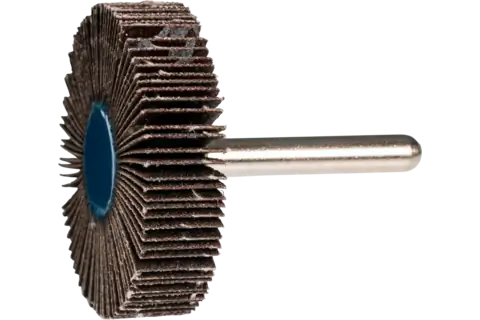 Mounted Flap Wheel, 2" x 1/2, 80 Grit, 1/4" Shank, Silicon carbide 2