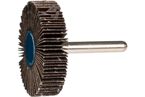 Mounted Flap Wheel, 2" x 1/2, 120 Grit, 1/4" Shank, Silicon carbide 2