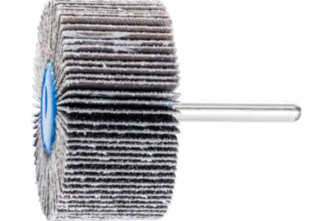 Mounted Flap Wheel, 2" x 1, 60 Grit, 1/4" Shank, Silicon carbide 1