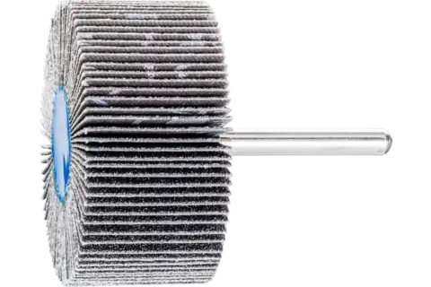Mounted Flap Wheel, 2" x 1, 80 Grit, 1/4" Shank, Silicon carbide 1