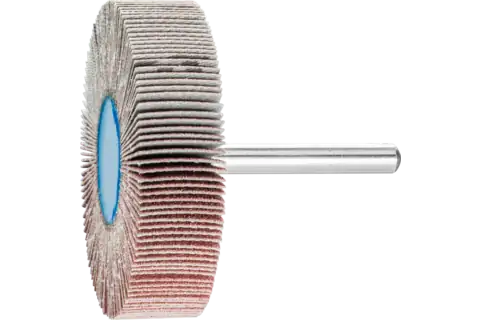 Mounted Flap Wheel, 2-1/2" x 1/2, 120 Grit, 1/4" Shank, Aluminum oxide 1