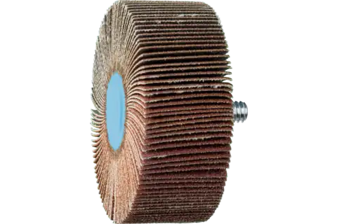 Quick Change Flap Wheel, 2-1/2" x 1, 120 Grit, 1/4-20 Thread, Aluminum oxide 1
