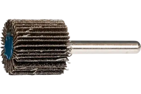 Mounted Flap Wheel, 1" x 1, 60 Grit, 1/4" Shank, Silicon carbide 2