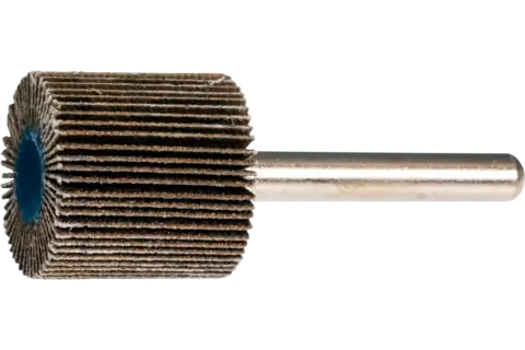 Mounted Flap Wheel, 1" x 1, 120 Grit, 1/4" Shank, Silicon carbide 2