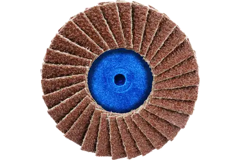 COMBIDISC Korund Mini-POLIFAN CDR Ø 50mm A40 für universelle Anwendungen 2
