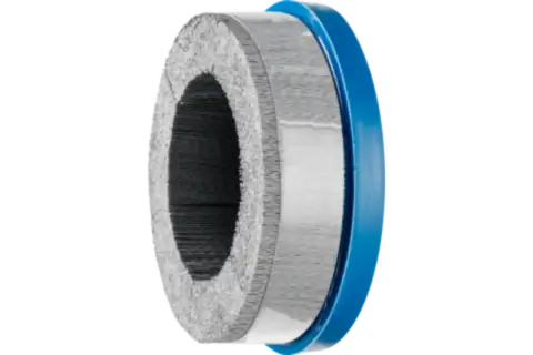 COMPOSITE composite disc brush DBUR dia. 150x22.2 mm hole SiC filament dia. 0.55 mm grit 320 stationary 1