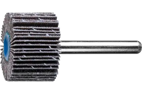 Roue à lamelles SIC F Ø 30x20 mm, tige Ø 6 mm, SIC120 pour métaux non ferreux durs 1