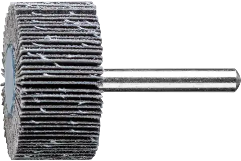 Roue à lamelles SIC F Ø 40x20 mm, tige Ø 6 mm, SIC150 pour métaux non ferreux durs 1