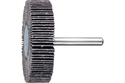 Roue à lamelles SIC F Ø 60x15 mm, tige Ø 6 mm, SIC80 pour métaux non ferreux durs 1