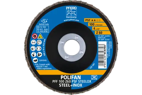 Disco lamellare POLIFAN PFF 100x16 mm piatto Z60 linea universale PSF STEELOX acciaio/acciaio inossidabile 2